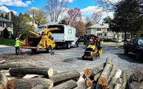 Best Stump Grinding and Removal  in Mcnair, VA