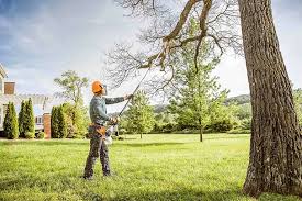 Best Utility Line Clearance  in Mcnair, VA