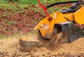 Best Tree Trimming and Pruning  in Mcnair, VA
