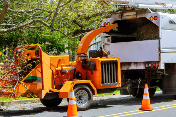 Best Hazardous Tree Removal  in Mcnair, VA
