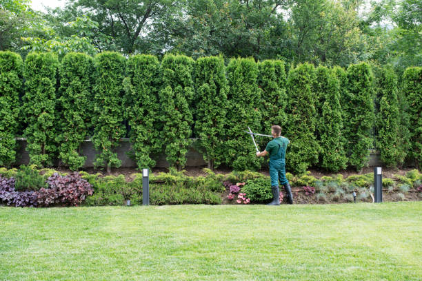 Best Lawn Fertilization  in Mcnair, VA