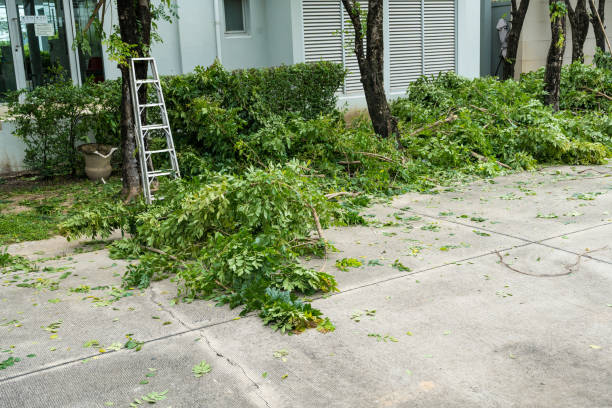 Mcnair, VA Tree Services Pros