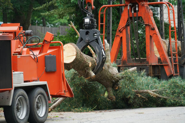 Best Lawn Irrigation Installation and Maintenance  in Mcnair, VA